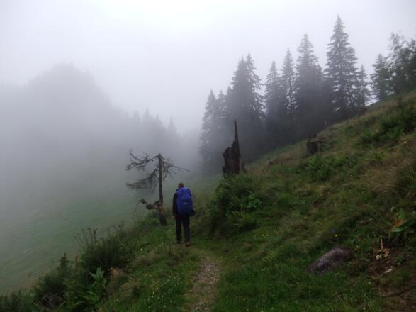 Wanderpfad 621 kurz vor dem Mariaeck