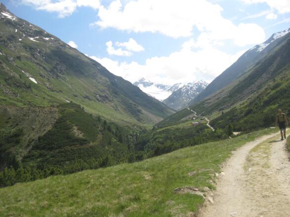 Niedertal mit Similaun