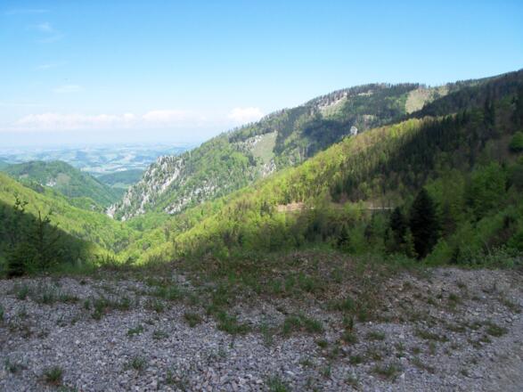 Blick ins Alpenvorland.