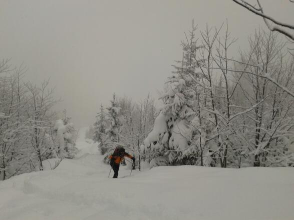 Kurz oberhalb des freien Geländes der Laimeralm (20.2.2013)
