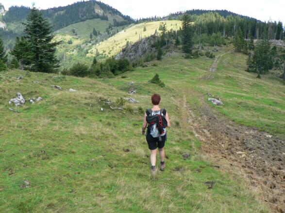 Eben führt der Almweg in einem weiten Linksbogen bis zum Mönichsee