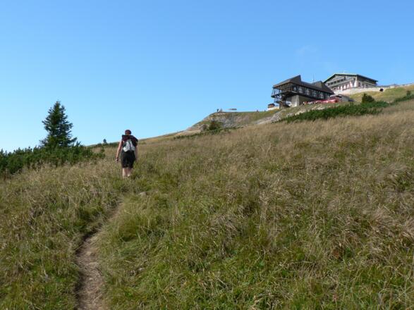 ... und steigen über den Wiesenrücken hinauf zum Schafberggipfel