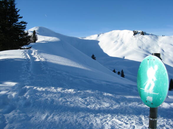 Der Kreis schließt sich; wir treffen auf die Aufstiegsspur vom morgen