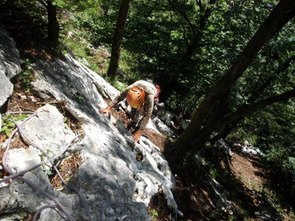 Auch im Wald oberhalb des Wandbuches gibt es noch schöne und leichte Kletterpassagen.