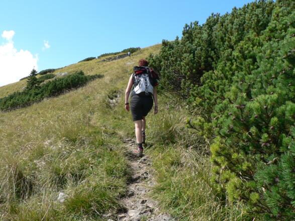 Wir steigen hinauf zur Schafbergspitze, ...
