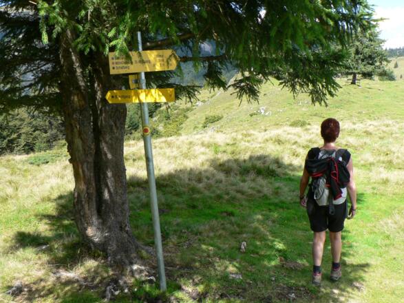 Weiter geht es nach Norden Richtung Schafberg