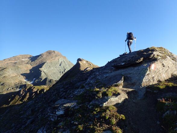 Am Verbindungsgrat Margrötzenkopf - Brennkogel