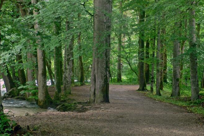 Auf dem Königsseer Fußweg