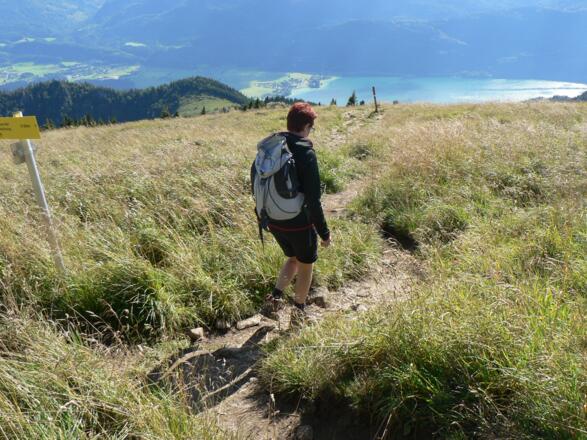Dann geht's bergab bis zur Schafbergalm
