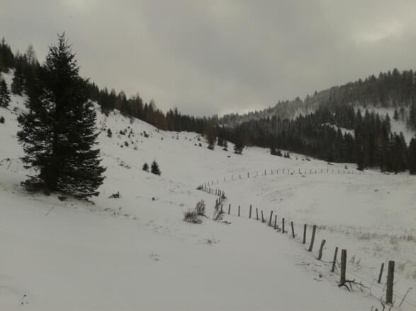 Je nach den Schneeverhälnissen hält man sich bei der Mehlsackalm mehr im Talgrund oder quert den linken Hang (5.Dezember 2012).