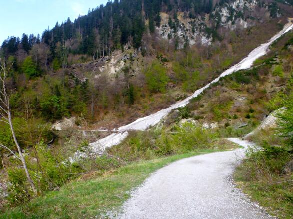 Blick zurück zum Ausläufer der Arzlerreise