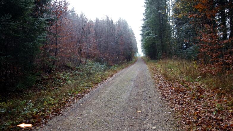 Einstieg links 170m nach Kehre (~820m Seehöhe).