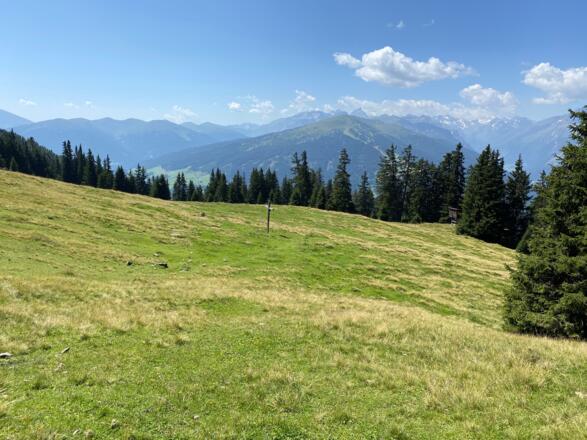 Mit dem Erreichen der Waldgrenze, öffnen sich Weitblicke auch in den Süden. Markant sticht das Nösslachjoch mit der Schipiste ins Auge. Hinten die Brennerberge.