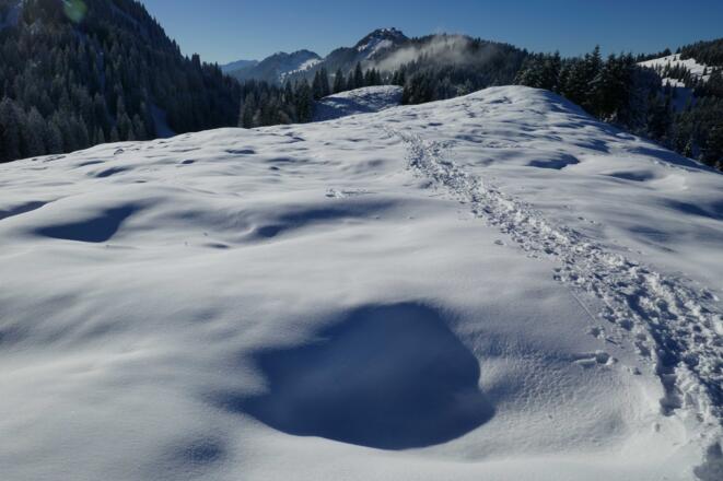 Der Schlussanstieg verläuft auf dem flachen Westrücken.