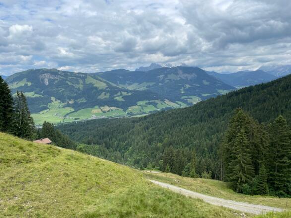 Diese Route auf den Harschbichl wird recht selten befahren.