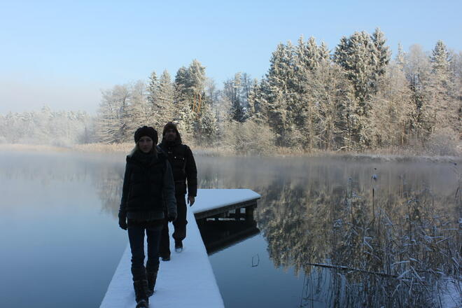 Wasser, Nebel und Schnee an den Osterseen