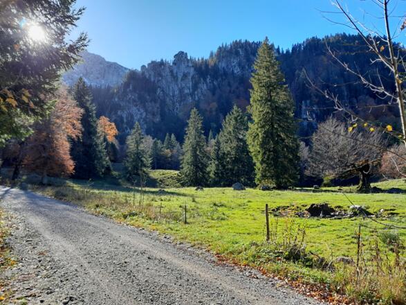 Die Eiblsfleckalm lässt man auf dem Weg zur Tutzinger Hütte rechts liegen.
