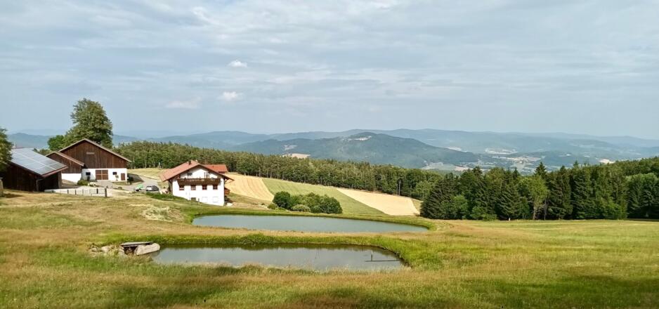 Großes Bayerwald-Panorama von Eiserszell (Hoher Bogen, Gr. Arber bis Hirschenstein und Schopf)