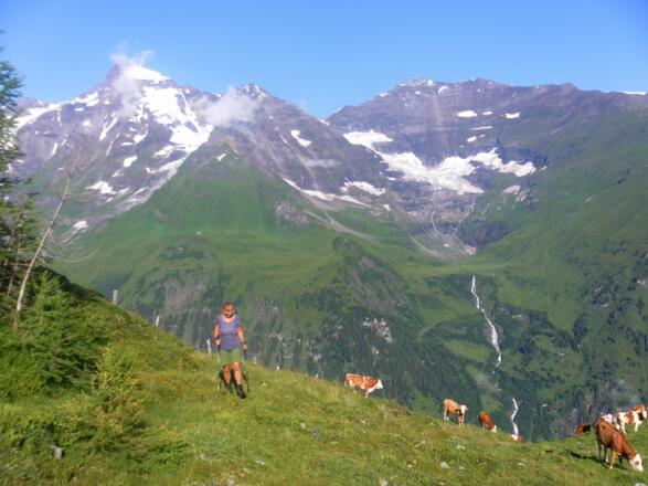 Durcheckalm, Wiesbachhorn und Hoher Tenn
