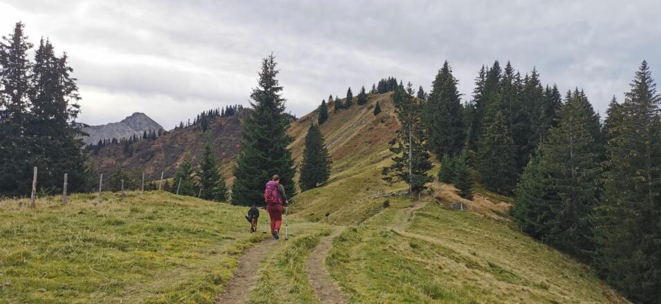 schöner und breiter Grat zum Sonnenkopf