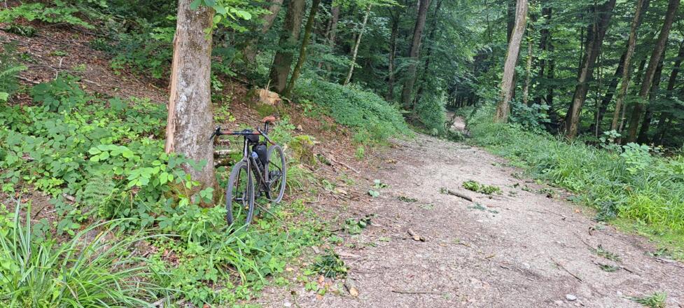 Coole Single-Trail-Passagen an der Ache...