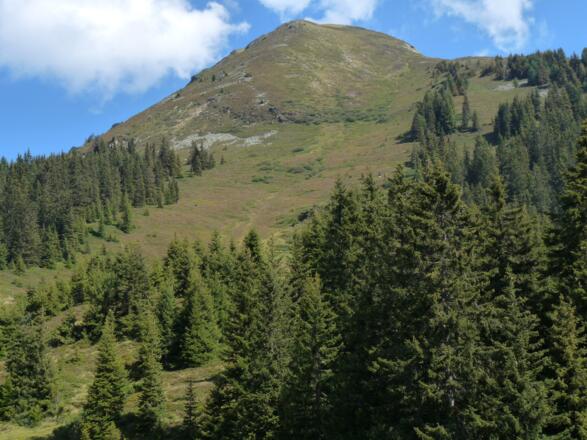 Während der Auffahrt zum Loassattel schweift der Blick hinauf zum Kuhmöser.
