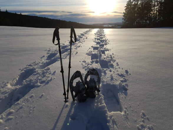 WinterwanderwegSchneeflocke