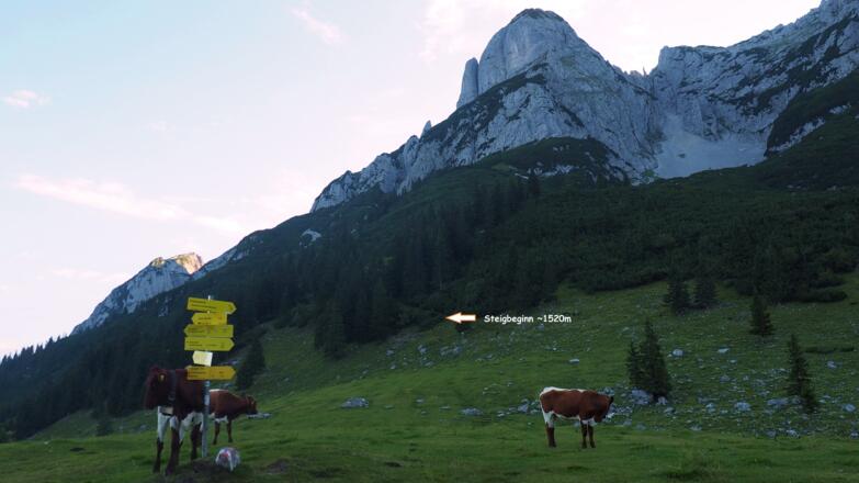 Almgebiet ~1500m, Wegtafel, Almhütte