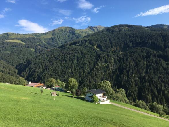 Blick vom Hochpillberg zum Gilfert. In diesem Waldabschnitt folgte die Auffahrt von Außerberg hinauf zum Loassattel.