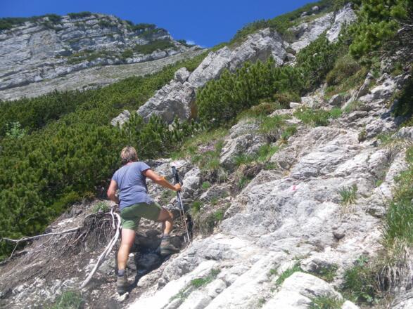 schrofige Latschengassen zur Gratschneide