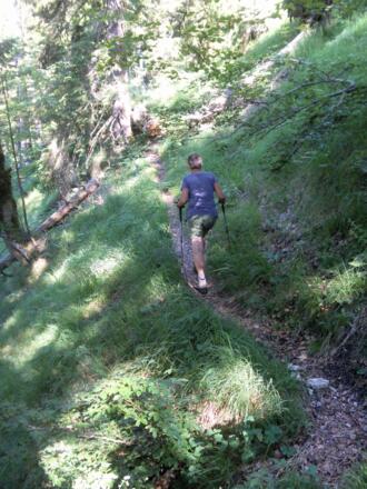 in Vorderen Steinbachtal