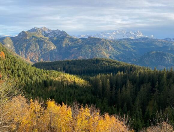 Seitenblick beim Abstieg zur Iglmoosalm zum Plassen und zum Dachstein