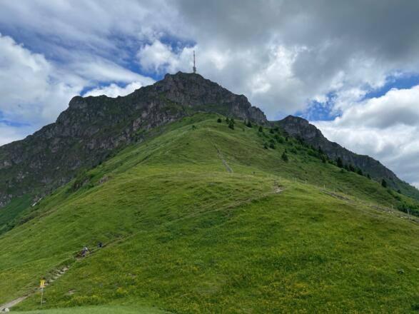 Am Harschbichl mit direkten Blick auf die steilabfallenden Hänge des Kitzbüheler Horns.