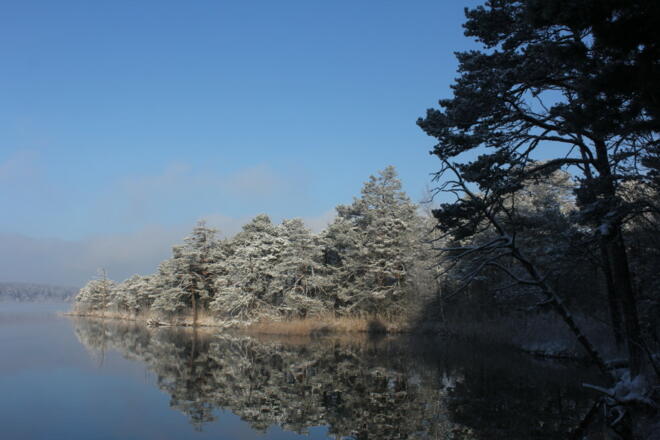 Ob als Rundweg oder bis nach Seeshaupt: Die Wanderung ist für Groß und Klein zu empfehlen.