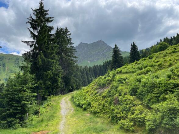 Bis zum Harschbichl ist es nicht mehr weit.