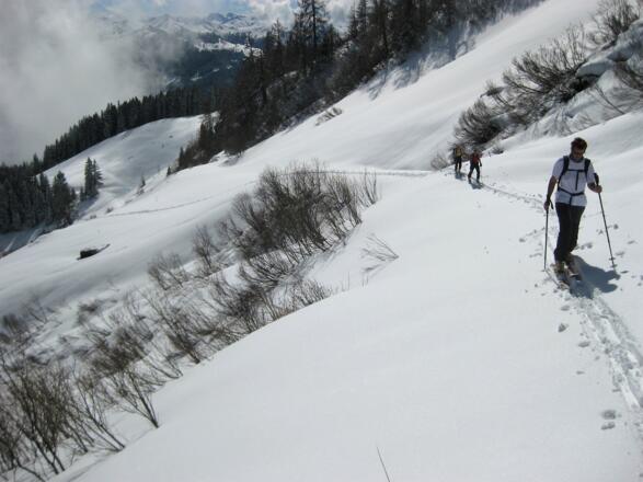 Güterweg zur Aualm