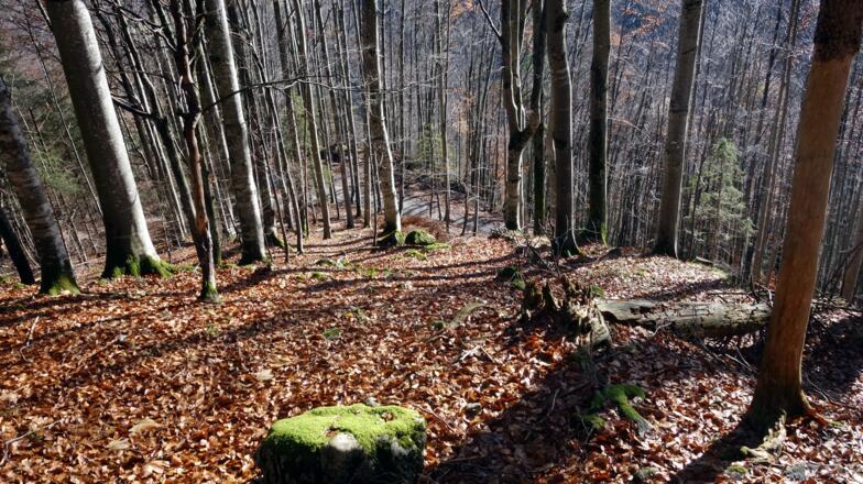 Ostgrat, steiler Abstieg bis 910m