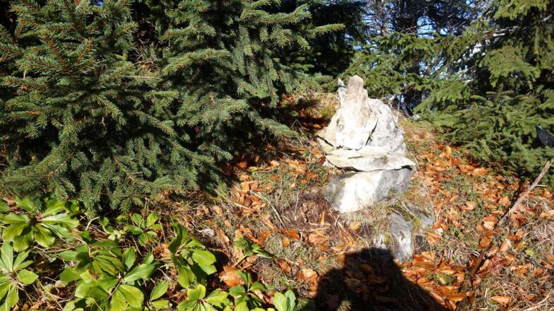 Seeberghorn 1261m mit Gipfelzeichen