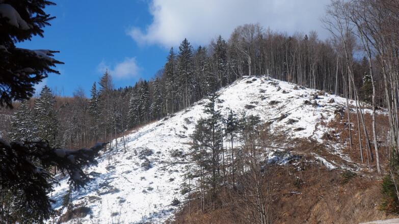 weiterer Pfad-Anstieg 840 m bis ca. 930 m