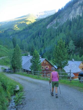 Zalußenalm