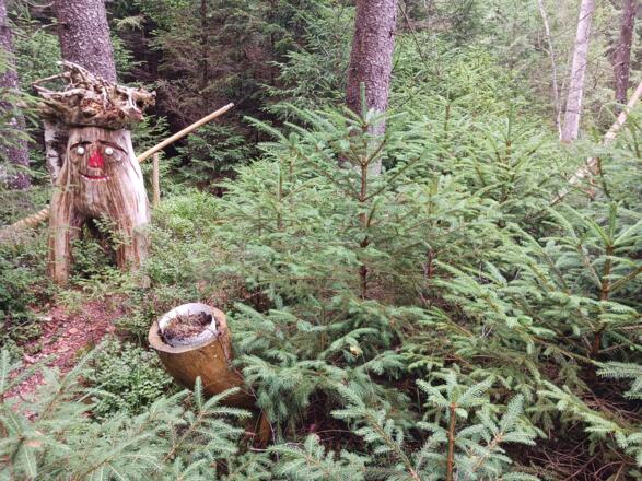 Alphörner im Weihermoos