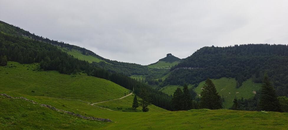 Auf der Nigelkaralm genießt man einen perfekten Blick auf den Schmittenstein...