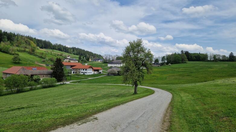 Blick zurück zur Abzweigung in Kirchberg