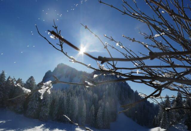 Blick von den Laubensteinalmen zum Heuraffelkopf