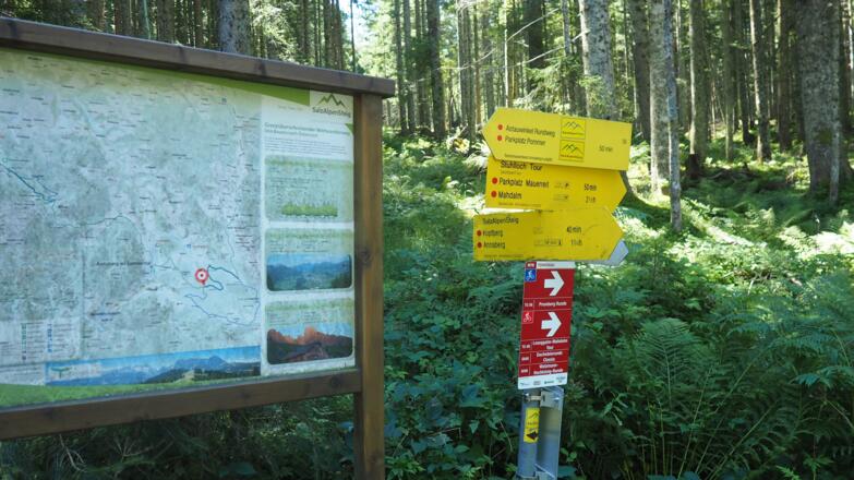Wegkreuzung mit Info-Tafel um 1040m