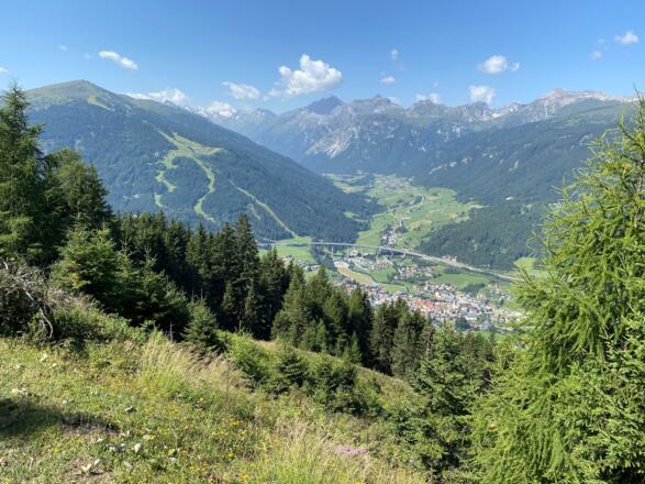 Bei der Auffahrt geben Lichtungen immer wieder Tiefblicke auf Steinach a. Brenner und das Gschnitztal mit seinen Bergtrabanten frei.