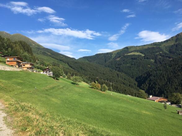 Am Hochpillberg ein letztes Stehenbleiben und die Landschaft genießen (links der Kuhmöser und ganz hinten der Loassattel).