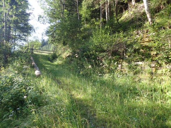 Unmittelbar am Beginn des eigentlichen Anstieges