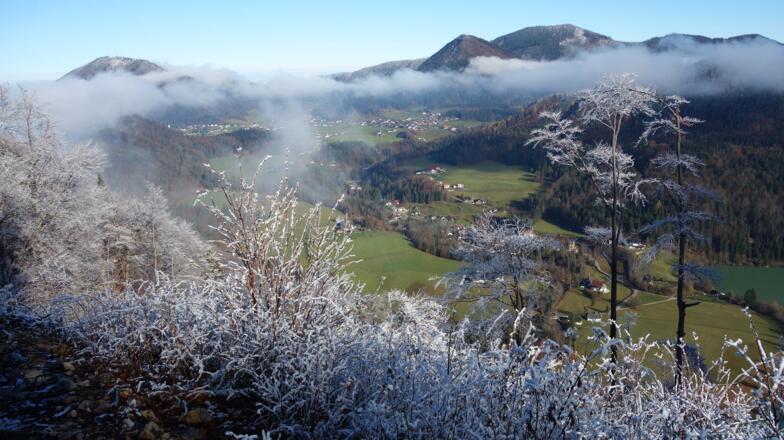 Talblick vom Sattel ~990m