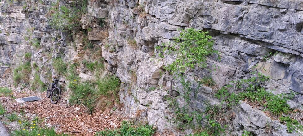 Immer weiter aufwärts...